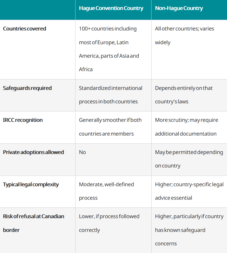 international-adoption-court-grid