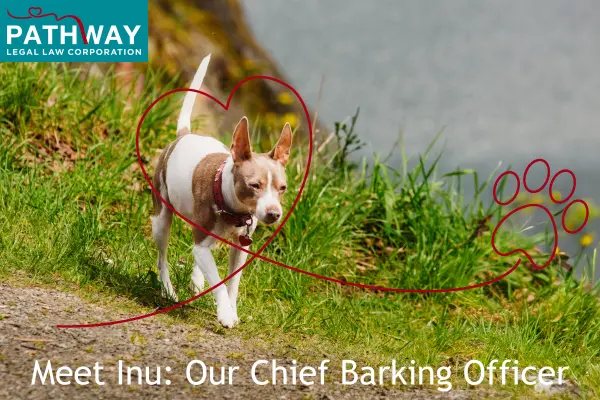 Small dog walking on a grassy path with a heart and paw print graphic, labeled as Pathway Legal’s Chief Barking Officer, Inu