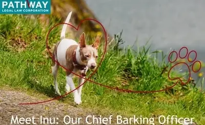 Small dog walking on a grassy path with a heart and paw print graphic, labeled as Pathway Legal’s Chief Barking Officer, Inu