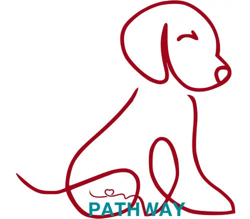 Decorative illustration of a dog looking down with the word Pathway