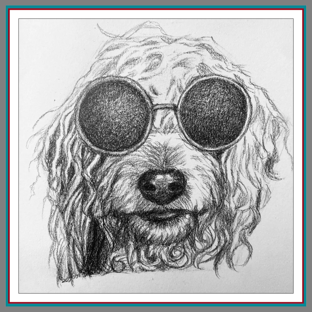 Detailed pencil sketch portrait of a fluffy doodle dog wearing oversized round sunglasses, drawn in expressive black-and-white graphite.